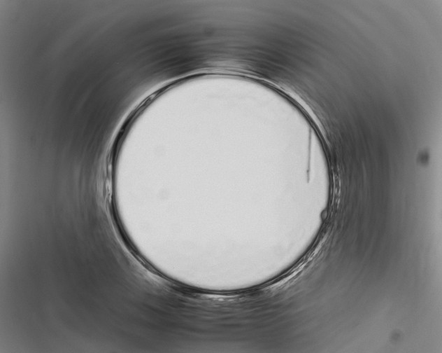 X0000116841123201001151241