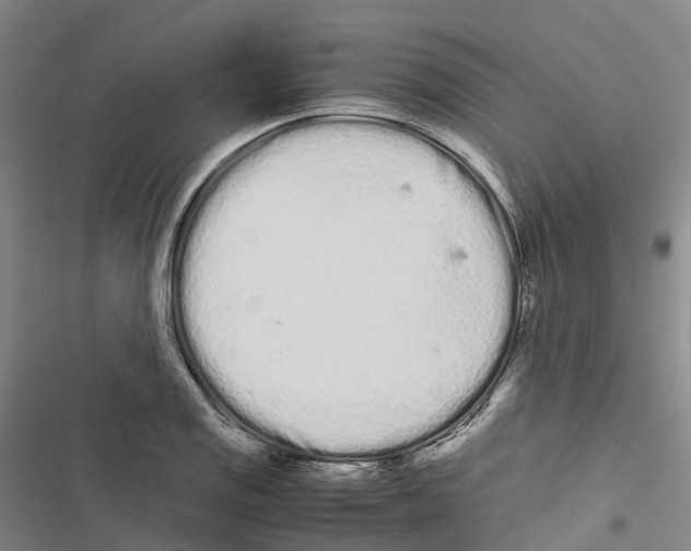 X0000116841125201001151241