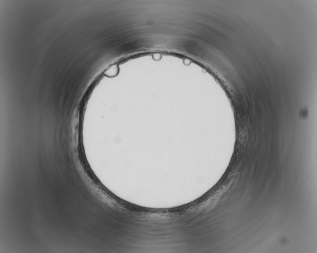 X0000116841126201001151241