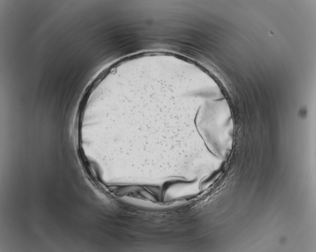 X0000116841127201001151241