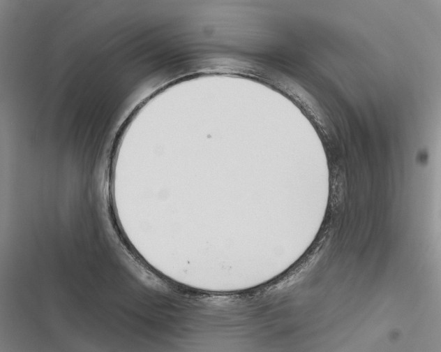 X0000116841130201001151241