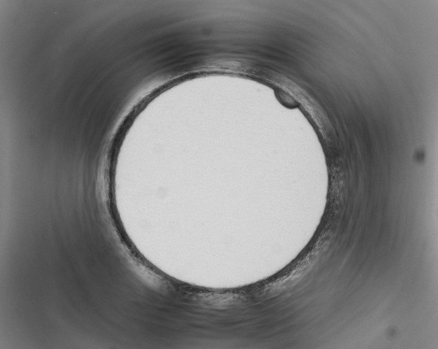 X0000116841131201001151241