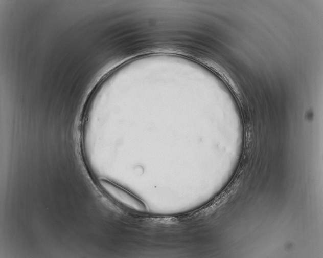 X0000116841133201001151241