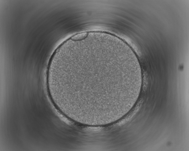 X0000116841134201001151241