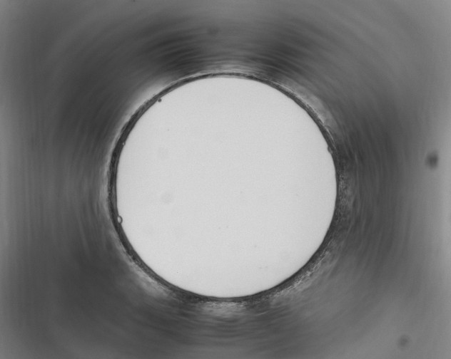 X0000116841135201001151242