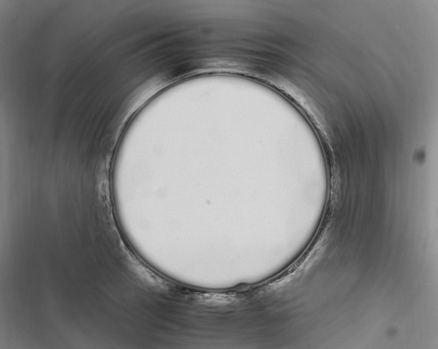 X0000116841137201001151242