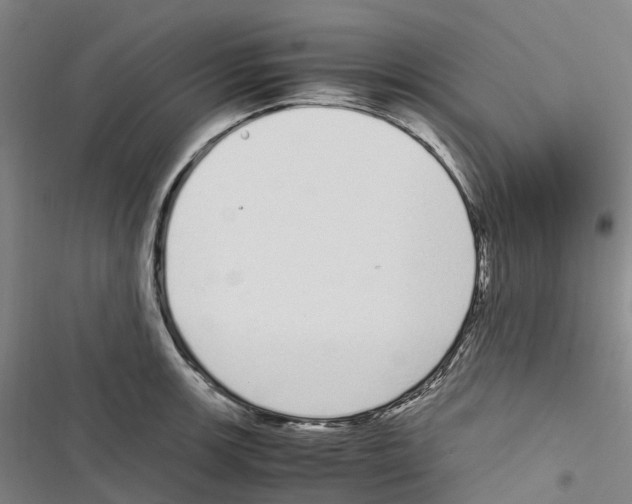 X0000116841139201001151242