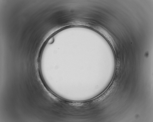 X0000116841141201001151242