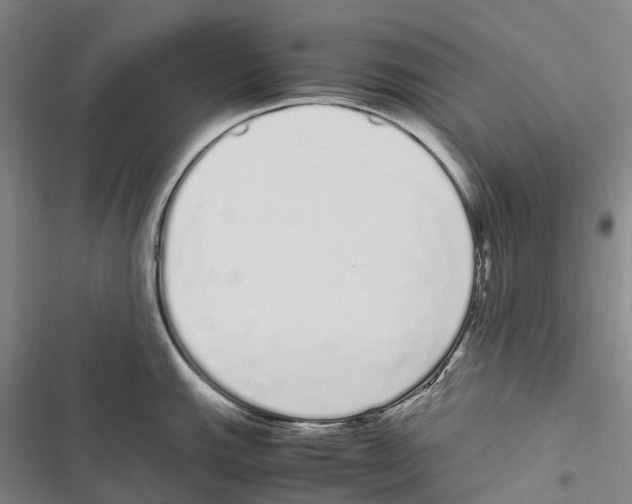 X0000116841143201001151242