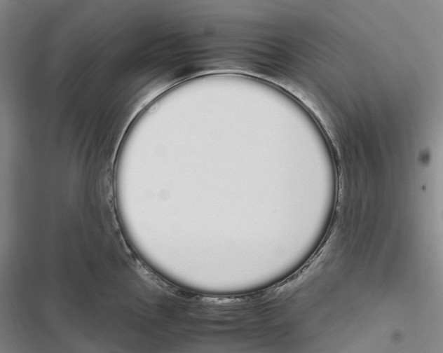 X0000116841145201001151242