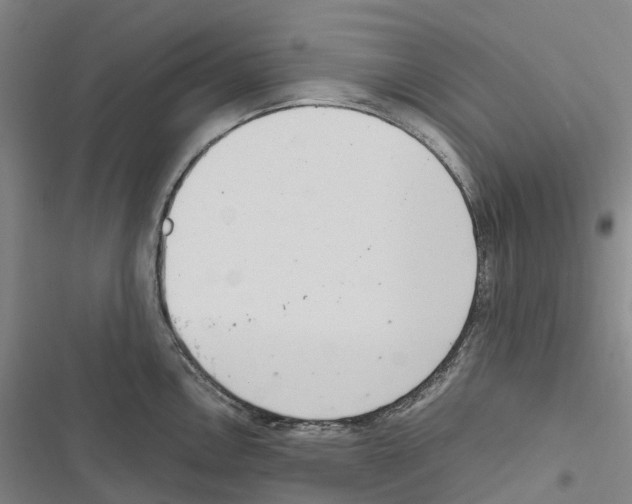 X0000116841146201001151242