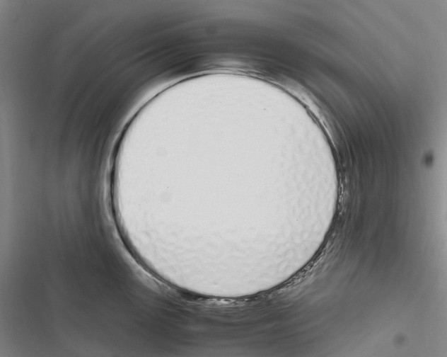 X0000116841147201001151242