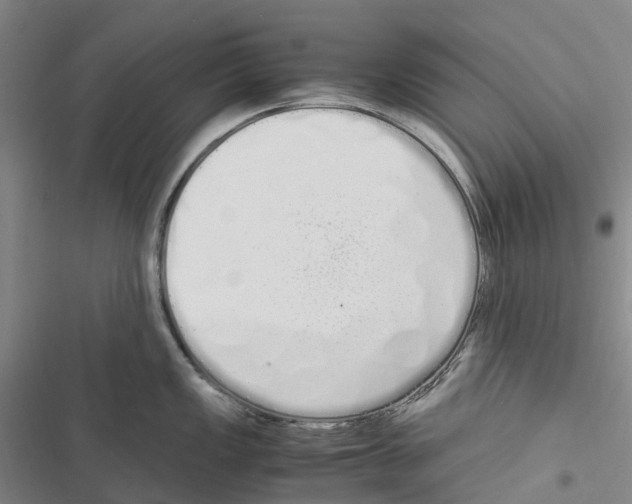 X0000116841149201001151242