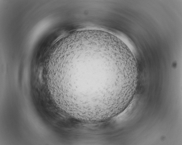 X0000116841150201001151242