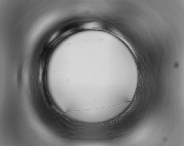 X0000116841151201001151242