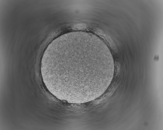 X0000116841153201001151241