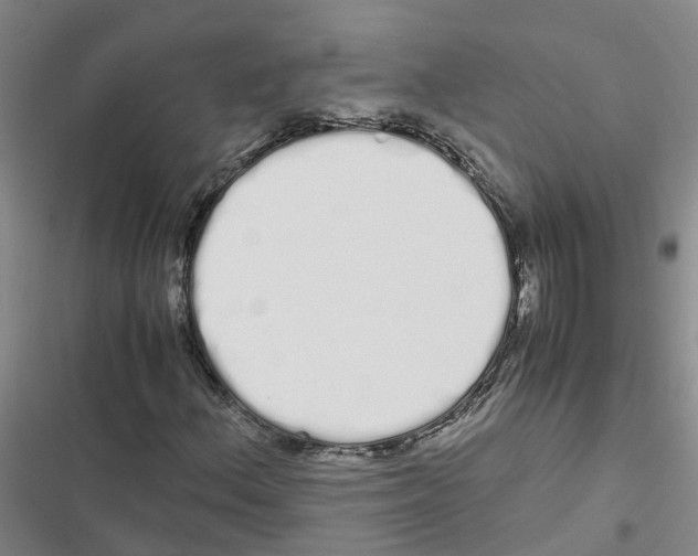 X0000116841156201001151241