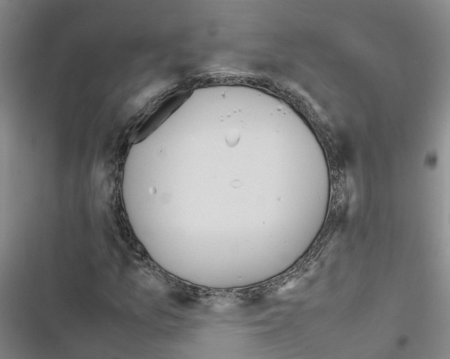 X0000116841157201001151241