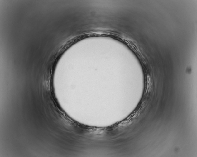 X0000116841158201001151241