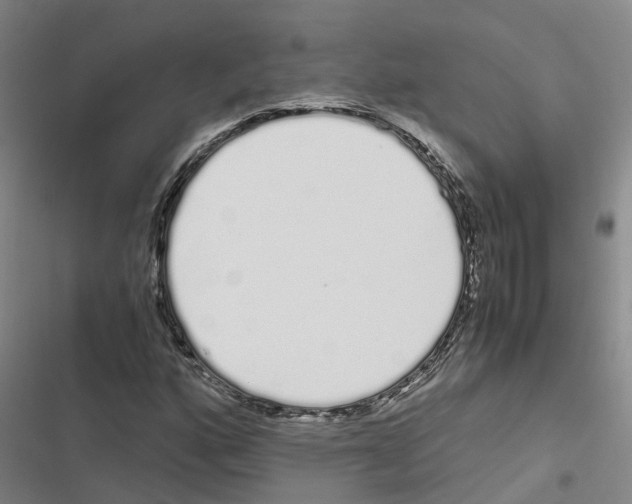 X0000116841160201001151241