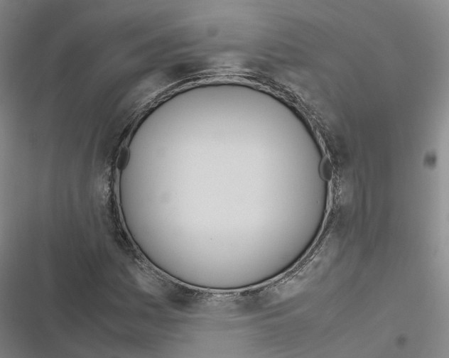 X0000116841161201001151241