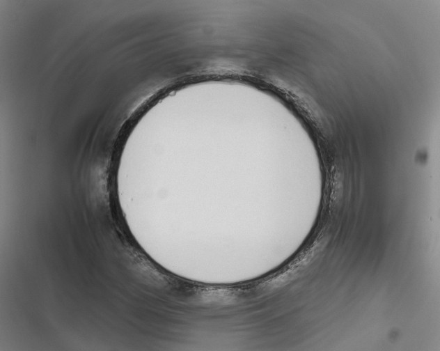 X0000116841162201001151241