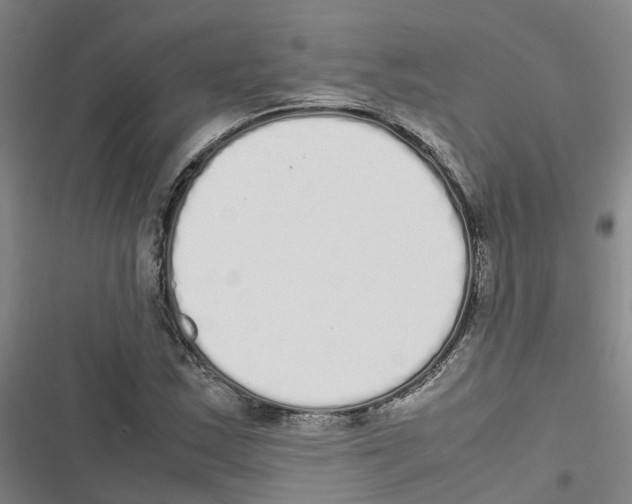 X0000116841163201001151241