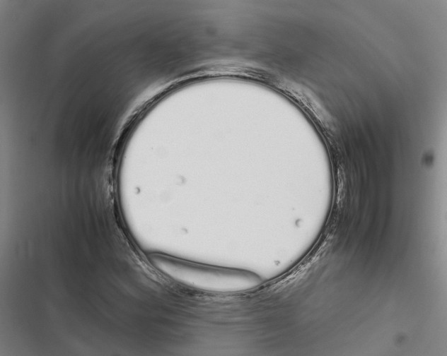 X0000116841164201001151241