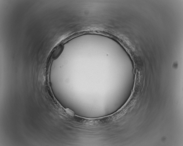 X0000116841165201001151241