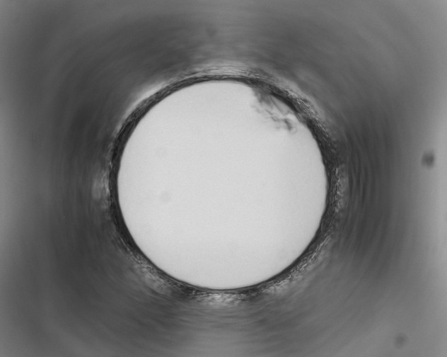 X0000116841166201001151241