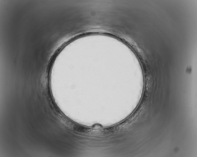 X0000116841167201001151241