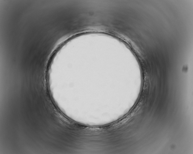 X0000116841168201001151241