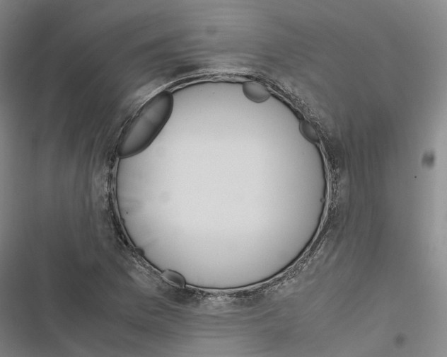 X0000116841169201001151241