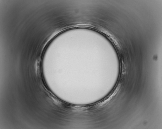 X0000116841170201001151241