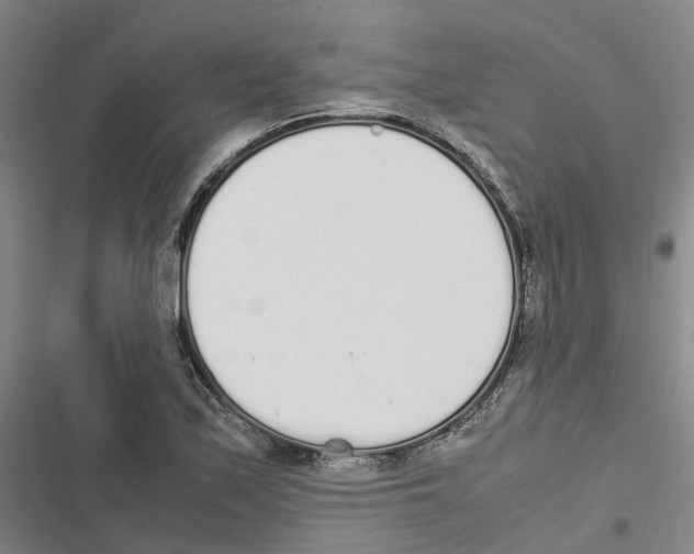 X0000116841171201001151241