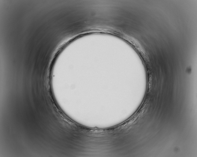 X0000116841172201001151241