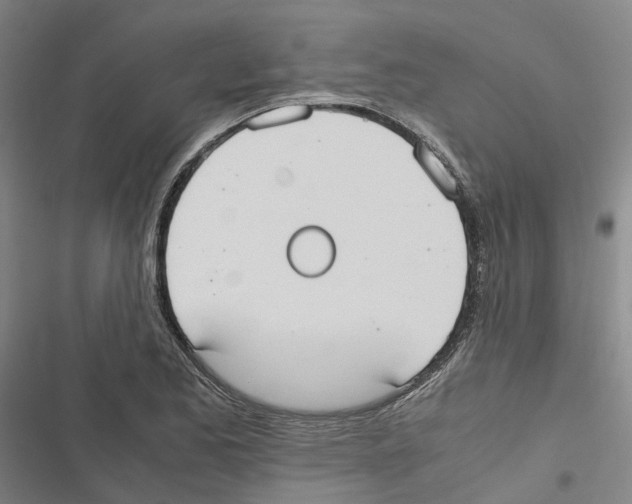 X0000116841173201001151241