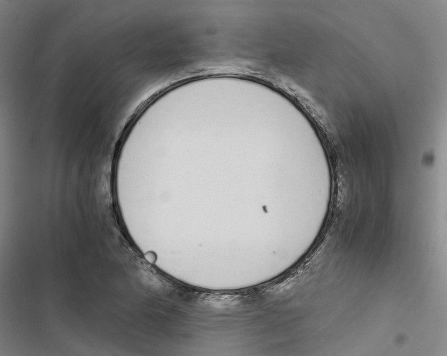 X0000116841174201001151241