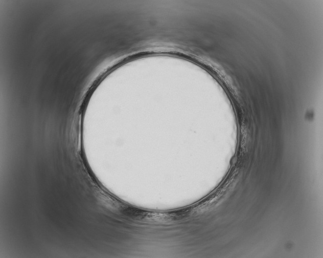 X0000116841175201001151241