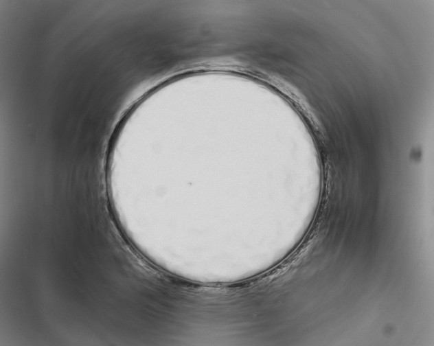 X0000116841176201001151241