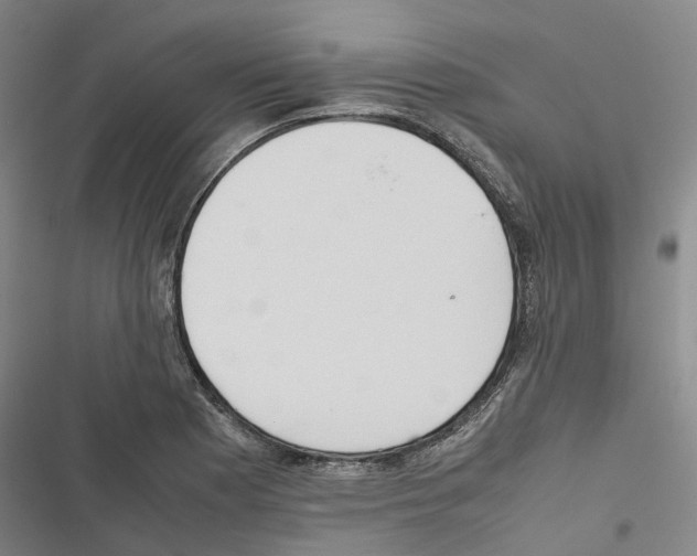 X0000116841177201001151241