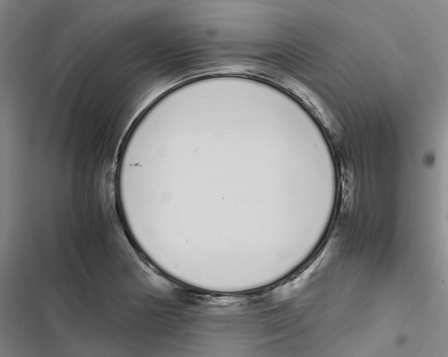 X0000116841178201001151241