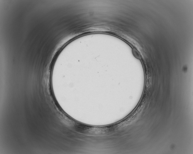 X0000116841179201001151241