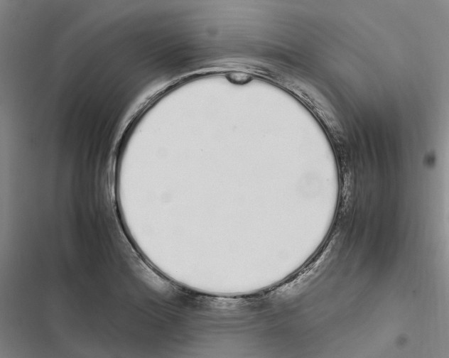 X0000116841180201001151241