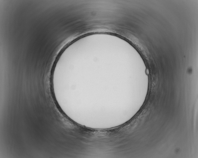 X0000116841181201001151241