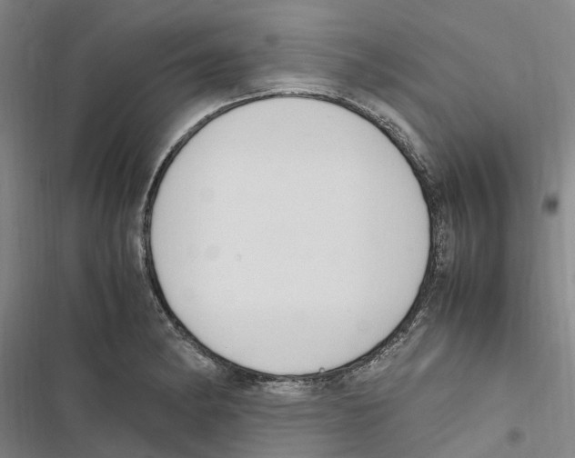 X0000116841182201001151241