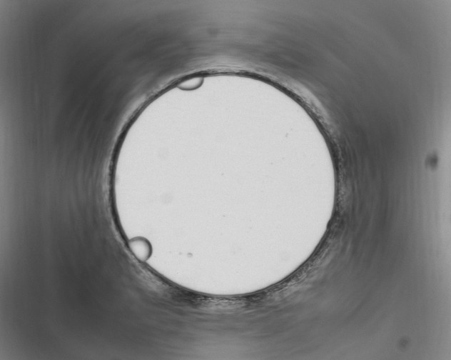 X0000116841183201001151241