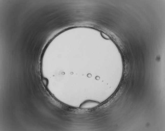 X0000116841184201001151241