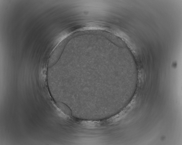 X0000116841185201001151241