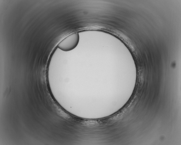 X0000116841186201001151241